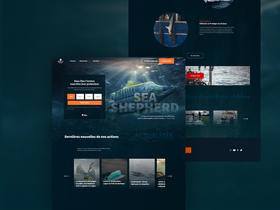 Redesign Sea Shepherd France design fish flat minimal redesign sea ux vector web design