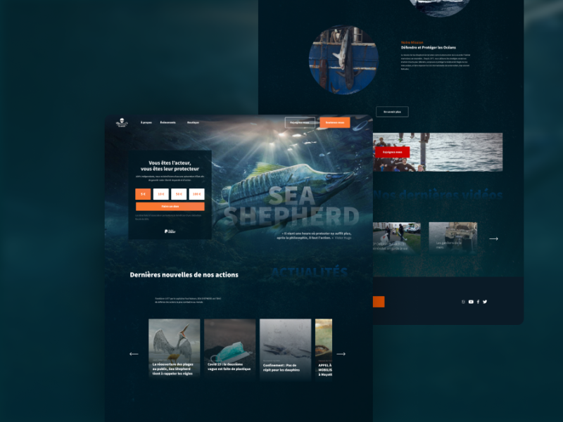 Redesign Sea Shepherd France by Clara Sanchez on Dribbble
