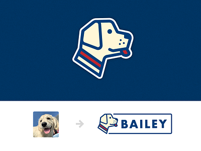 BAILEY badge branding dog dog logo flatdesign illustration logo logodesign sticker thicklines typography vector