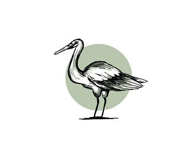 Bird egret illustrated logo design