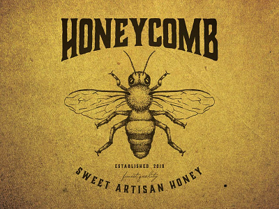 Bee bee detailed drawing handdrawn homemade honey honeybee honeycomb illustration logo rustic vintage vintagelogo