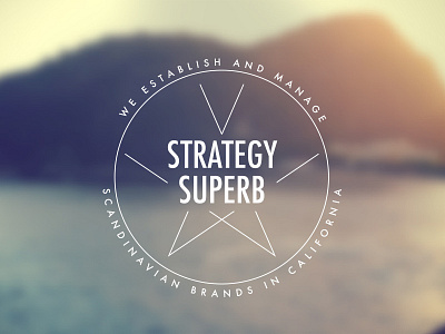 Strategy Superb Logo clean hipster illustrator logo simple