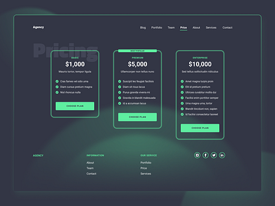 Pricing page