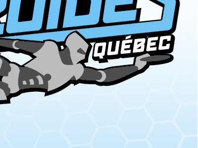 Screen Shot 2012 09 17 At 5.50.48 Pm canada disc droide frisbee logo quebec ultimate