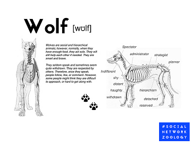 Social Network Zoology - what is wolf dataminding digitalart pseudoscientific socialmedia socialnetworkzoology