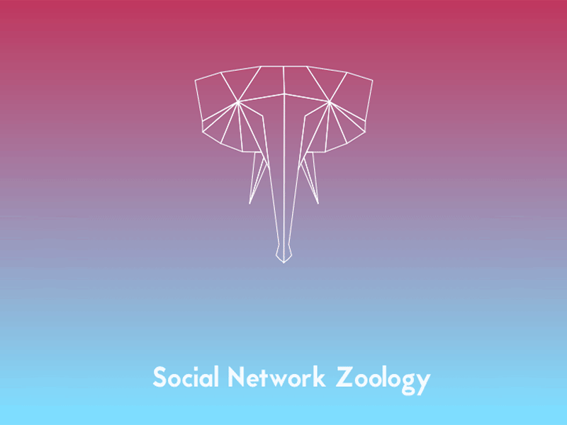 Social Network Zoology dataminding digitalart pseudoscientific socialmedia socialnetworkzoology