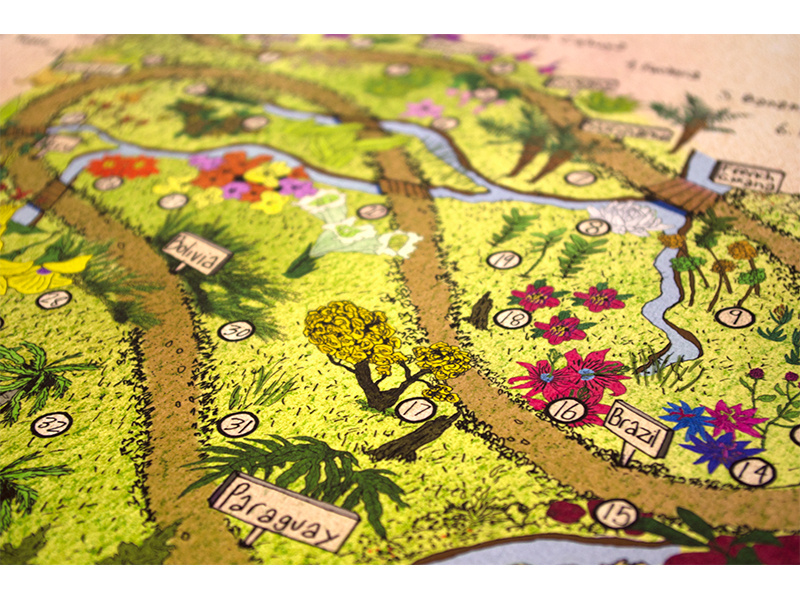 Botanical South America Detail 2 hand lettering illustrated map typography poster architecture information infographic illustration educational editorial design advertising