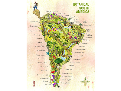 Botanical South America - Illustrated Map adventure advertising art direction design editorial illustrated maps illustration infographic map plants poster