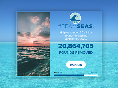 Crowdfunding Campaign campaign crowdfunding campaign donate donation funding mrbeast popup sea teamsea teamseas ui ui design web banner web design