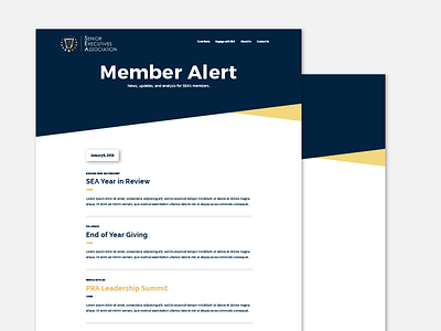 Member Alert Email branding email email marketing email template ia template
