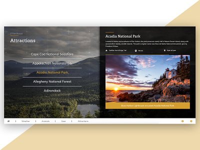 Interactive Guide to Camping design interactive interface layout ui ux