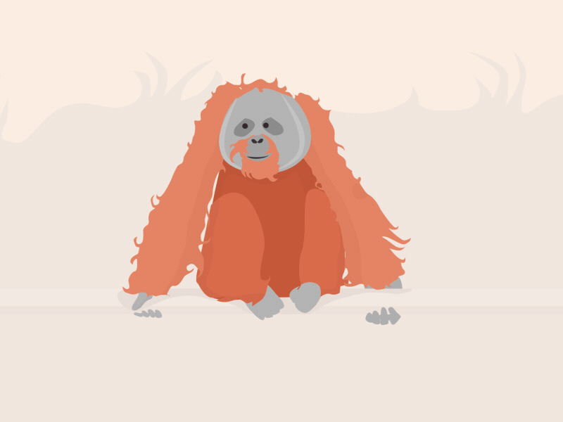 Orangutang after effects joysticks n sliders motion graphics newton orange orangutan orangutang