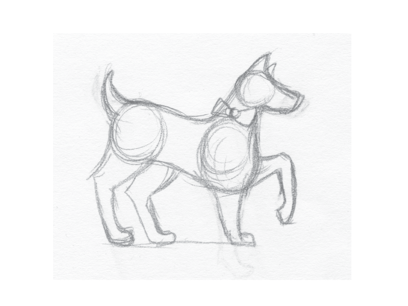Dog Process animation bowtie branding dog identity illustration puppy teal