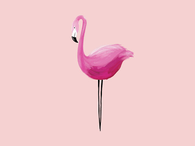 Flamingo flamingo illustration paint pink