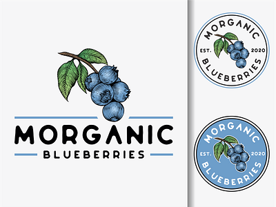 vintage blueberry logo badge blueberry design fruit illustration ilustractor logo tshirt vector vintage