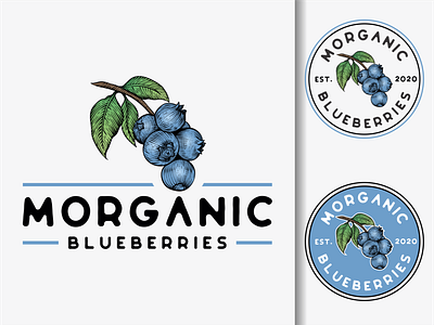 vintage blueberry logo