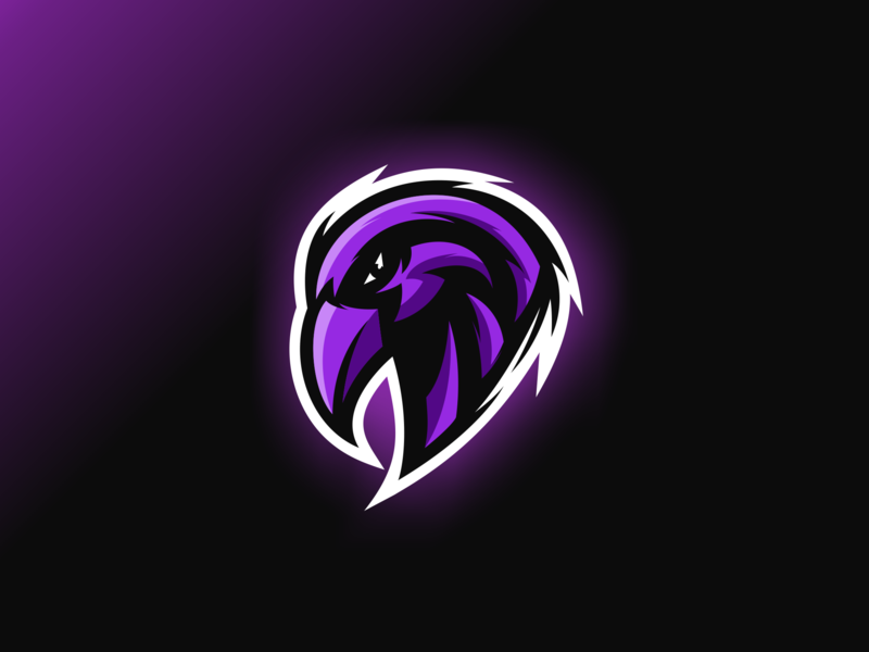 raven esport by Hol on Dribbble