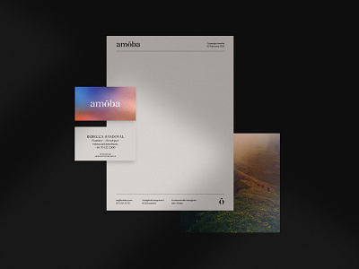 Amöba branding brand guidelines brand identity branding business cards cards developer flatlay identity layout letterpaper most studios typography