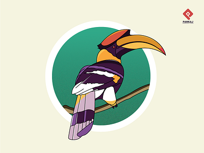 Hornbill bird hornbill illustration illustrator