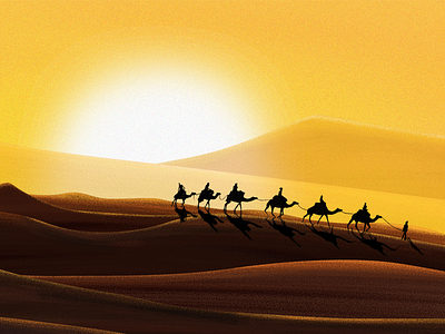 Camel Safari