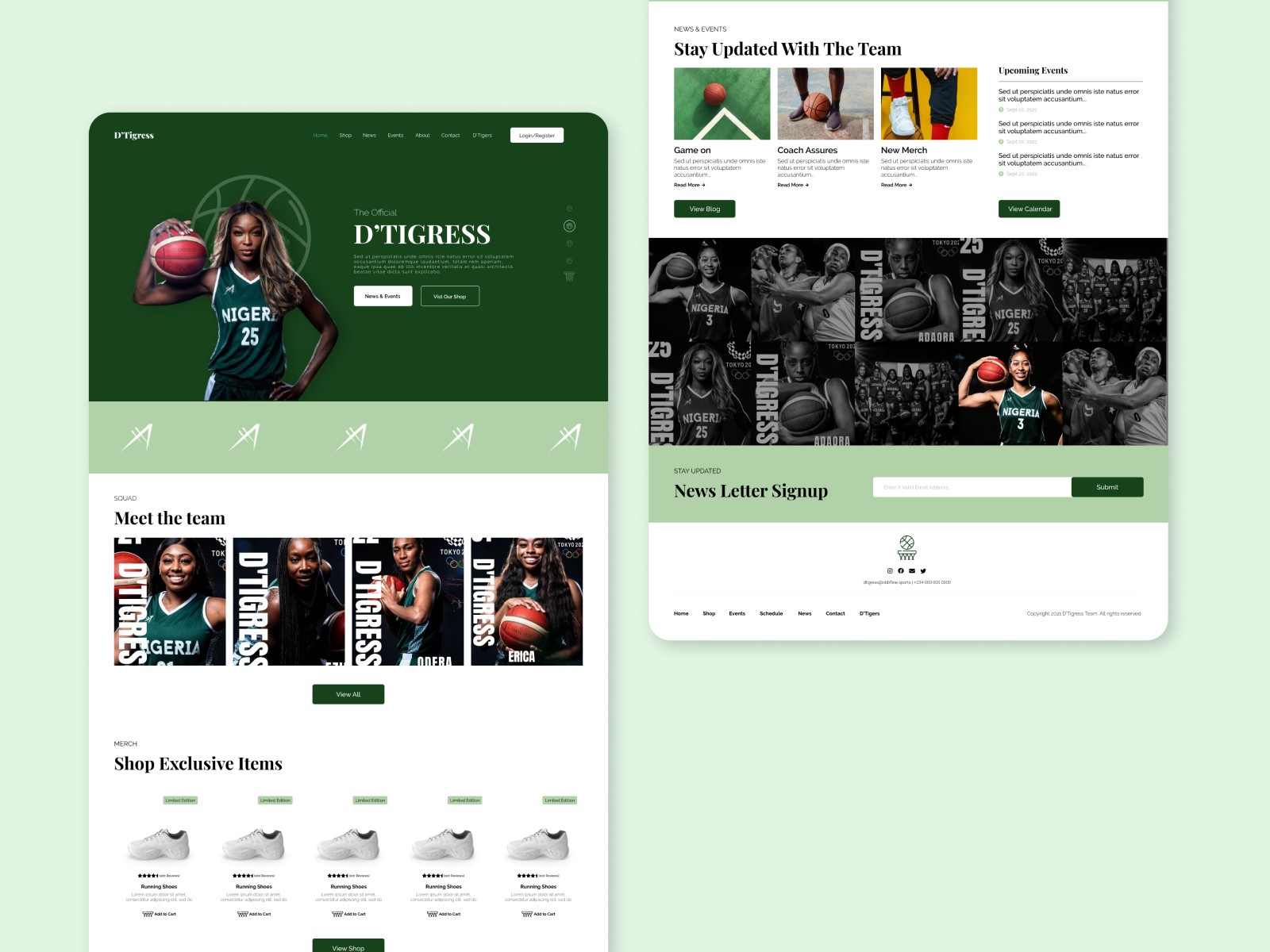 Redesign: Nigerian BasketBall Website - Full (1st concept) by Michelle ...