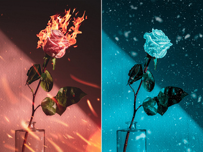 Fire and Ice composite image digitalart graphicart graphicdesign photomanipulation photoset photoshop