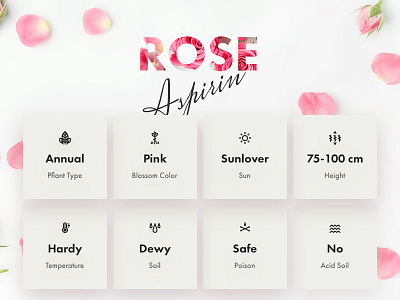 Plant page for garden blog blog cards floral flower garden plant rose tiles typography ui ux