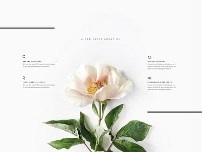 Ecommerce features delicate ecommerce features floral layout lines minimal shop shopify theme soft store stripes ui ui kit