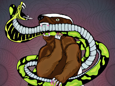 Honey Badger animal cobra color honey badger illustration snake vector