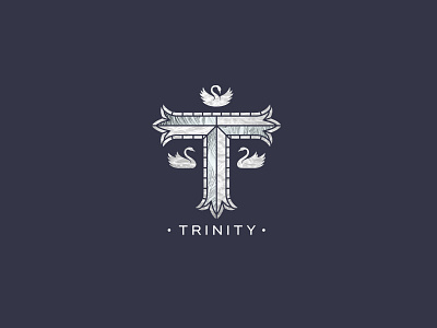 Trinity - Identity for a new homes site branding cathedral custom type logo religion stained glass swans trinity typography vector