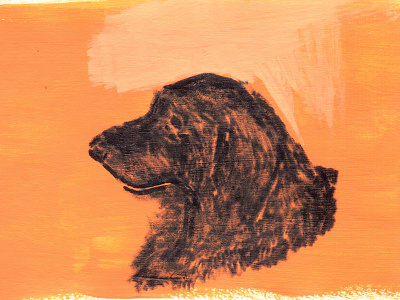 B dog dog portrait draw illustration painted sketch