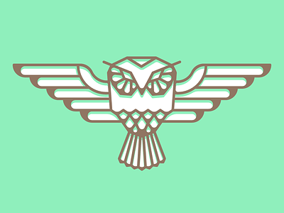 Owl animal bird illustration owl