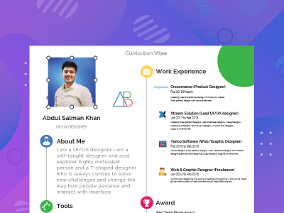 Resume Design branding concept art curriculum vitae dailyui design front end back end illustrator one page resume template template design ui icons uiux