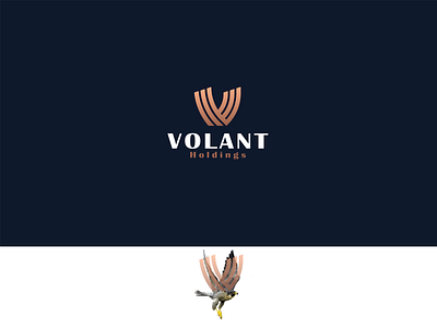 Visual identity for VOLANT holdings (v+wings) branding creative design flight holdings illustration logo mark symbol