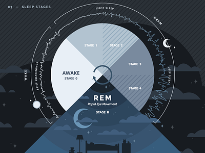 Sleep Stages Chart circadian sleep sleep cycle