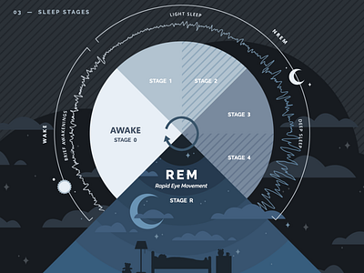 Sleep Stages Chart