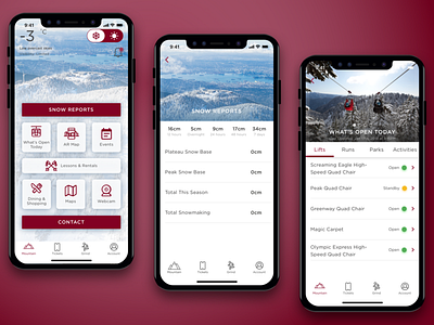 Grouse Mountain clean color information mobile mobileapp mountain outdoor sports outdoors redesign resort skiiing sports travel