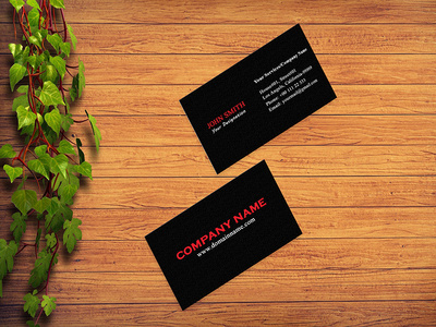 Professional Business Card