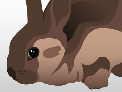 Bunny adobe illustrator bunny illustration instagram