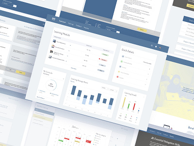 MoMega Learning Management System UX UI Design