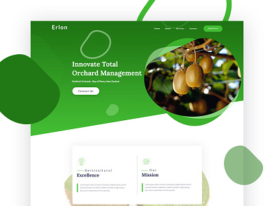 Kiwi designs, themes, templates and downloadable graphic elements on  Dribbble