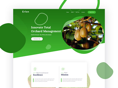 Erlonlimited Kiwifruit Home Page Dribble