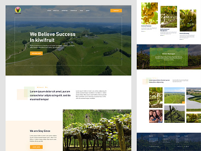 Kiwi Hard Diven Web Ui V2 color design food fresh fruit interface kiwi kiwifruit landing landing page organic page product typography ui ux web website