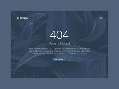 404 Page