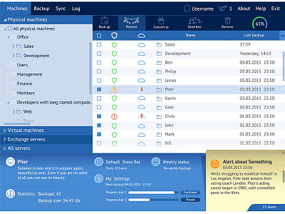 Screen for data backup application