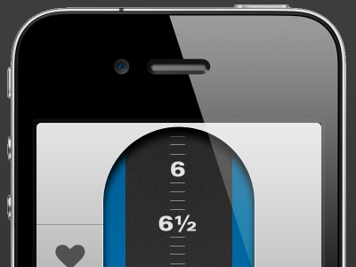 iPhone App Input Screen