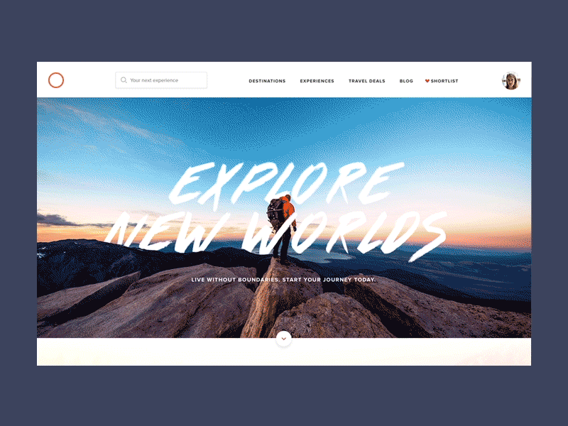 Travel website concept