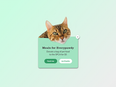 Daily UI #016 cats dailyui donation overlay popup spca