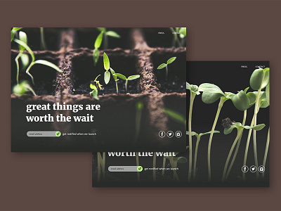 Daily UI #048 comingsoon dailyui seedling plants growth uidesign uxdesign