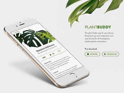Daily UI #074 app appstore dailyui downloadapp googleplay monsteradeliciosa plant plantbuddy plantfinder plantui uidesign uxdesign